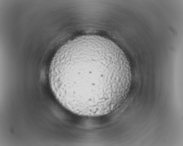 X0000113270074200910081409