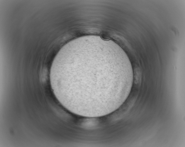 X0000113270077200910081409