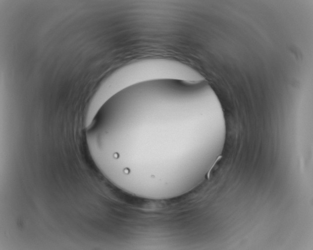 X0000113270080200910081409