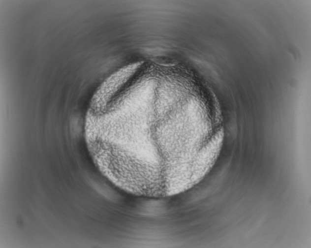 X0000113270081200910081409