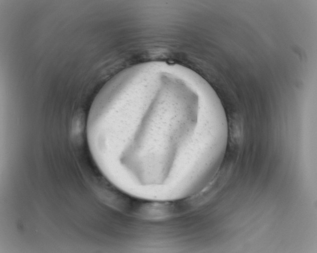 X0000113270082200910081409