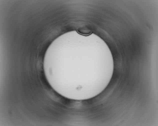 X0000113270083200910081409