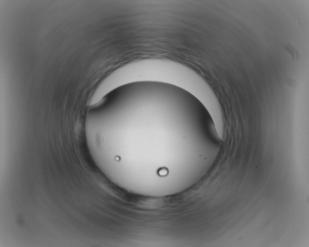 X0000113270084200910081409