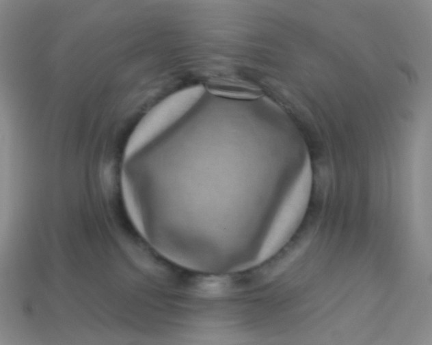 X0000113270088200910081409