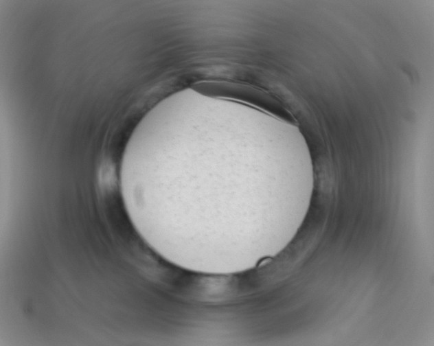 X0000113270089200910081409