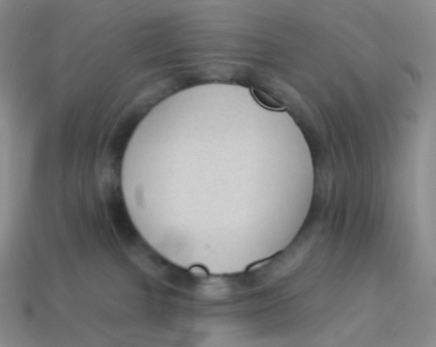 X0000113270091200910081409