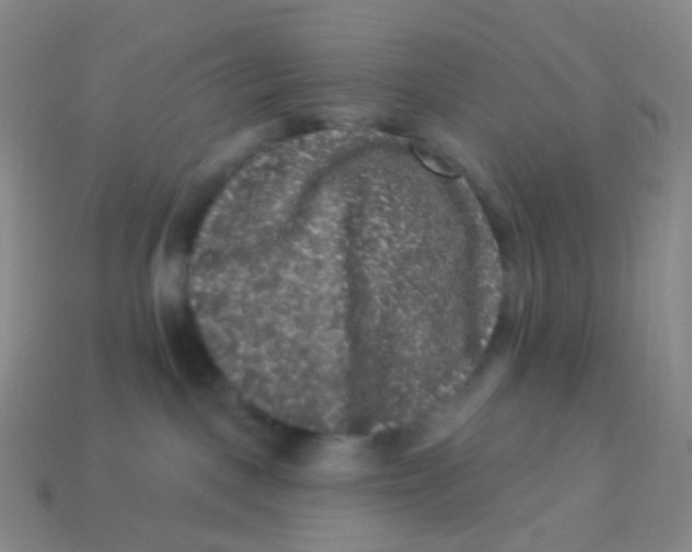 X0000113270093200910081409