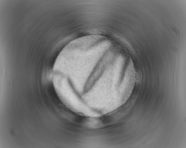 X0000113270095200910081409