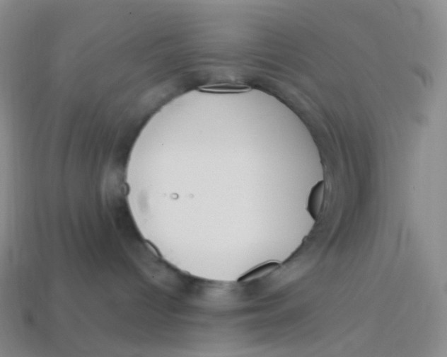 X0000113270096200910081409