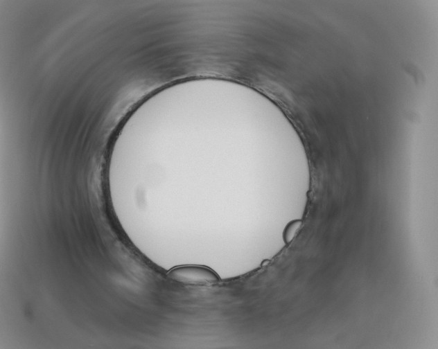 X0000113270098200910081409