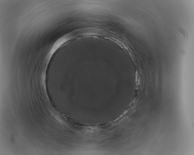 X0000113270099200910081409