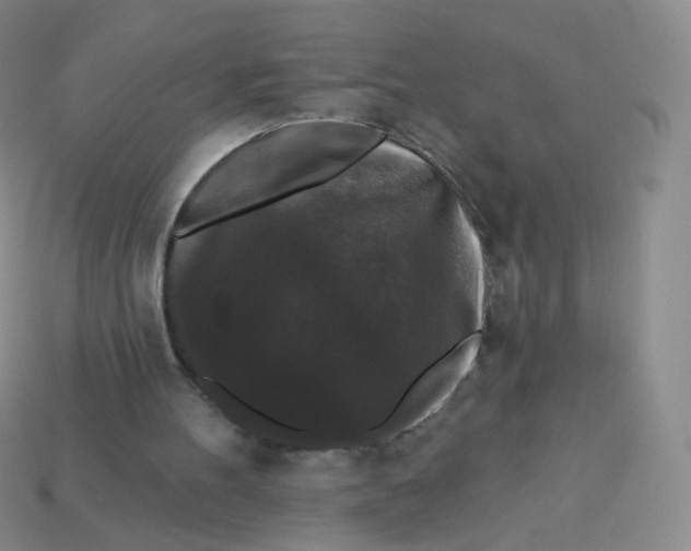 X0000113270100200910081409