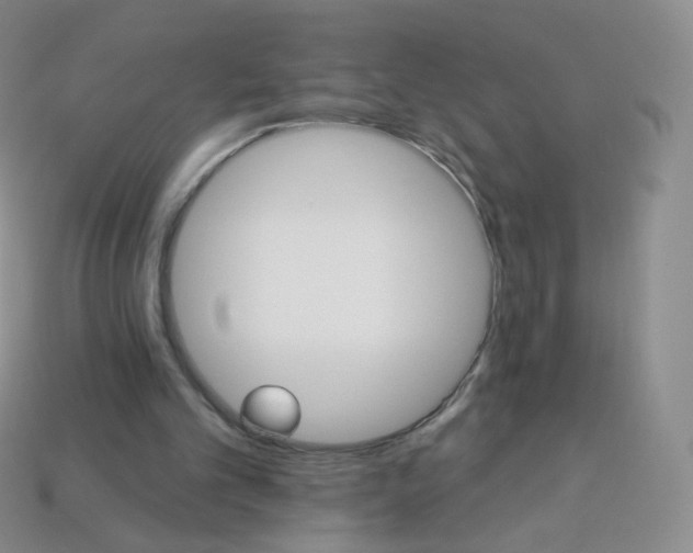 X0000113270101200910081409