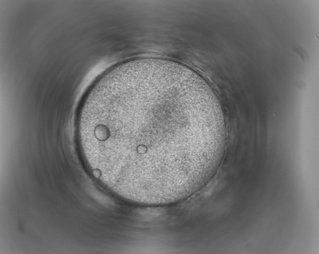 X0000113270102200910081409