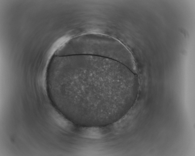 X0000113270104200910081409