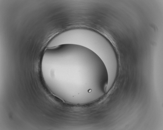 X0000113270105200910081409