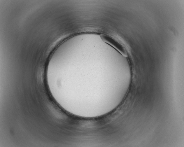 X0000113270107200910081409