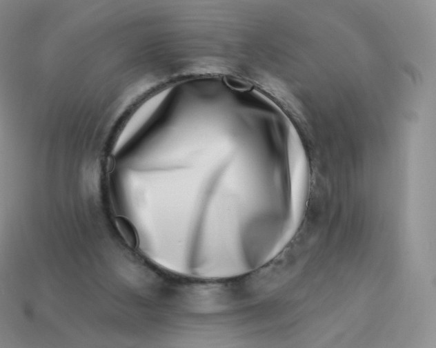 X0000113270108200910081409