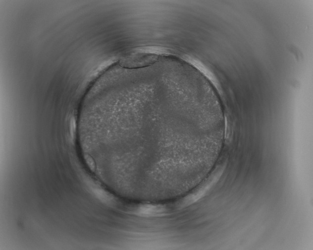 X0000113270109200910081409