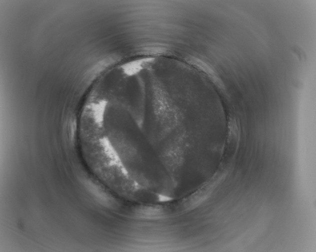 X0000113270110200910081409