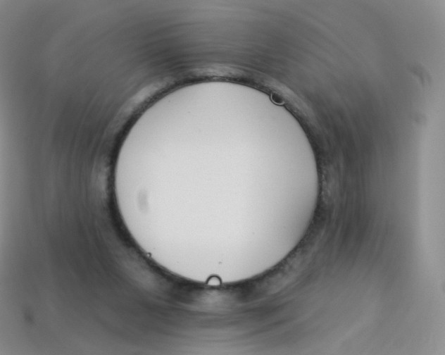 X0000113270111200910081409