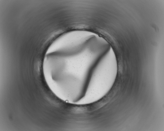 X0000113270115200910081408