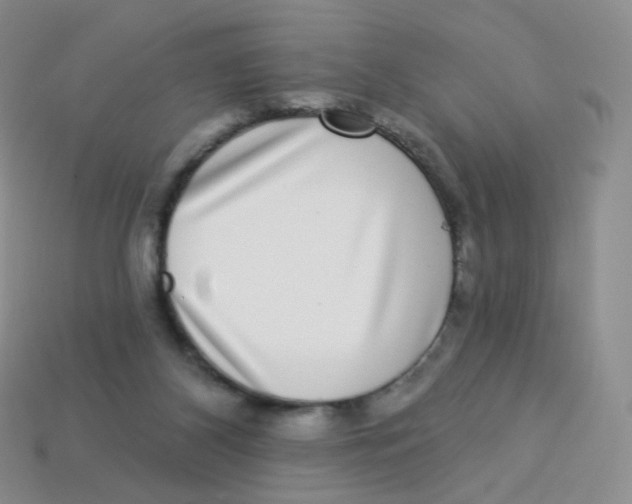 X0000113270116200910081408