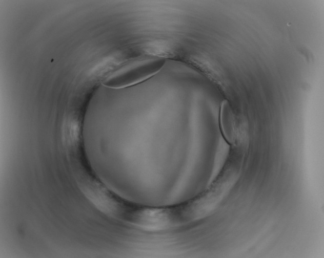 X0000113270117200910081408