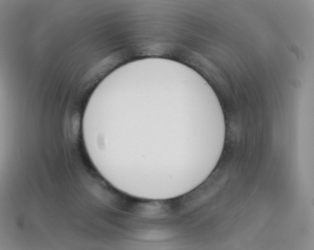 X0000113270118200910081408