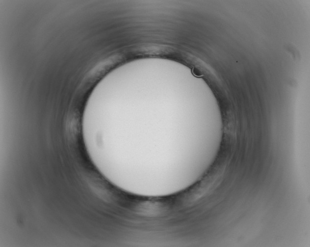 X0000113270119200910081408