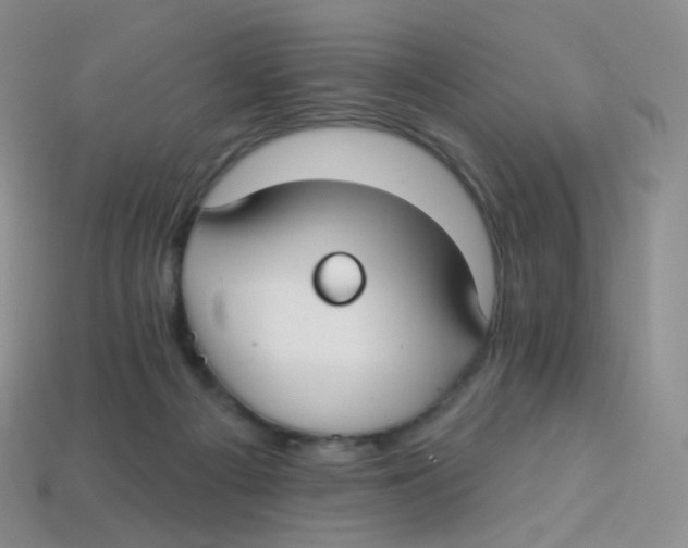 X0000113270121200910081408