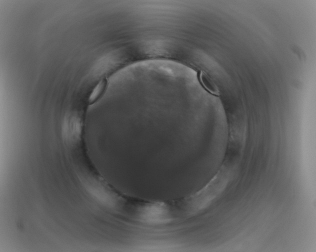 X0000113270124200910081408