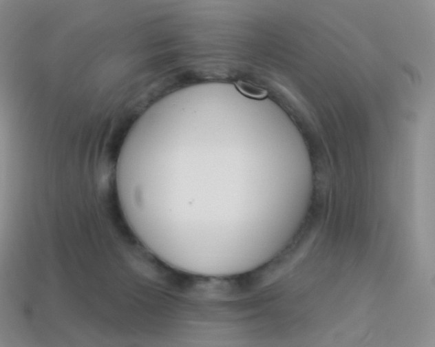 X0000113270125200910081408