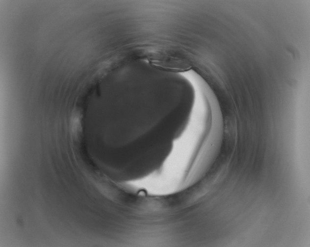 X0000113270127200910081408