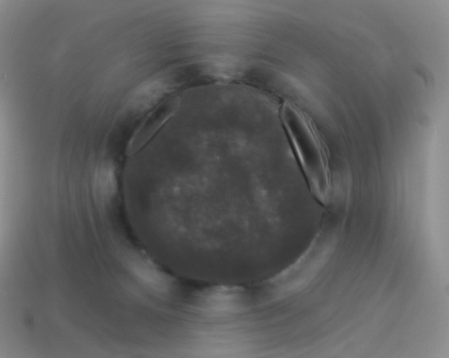 X0000113270128200910081408