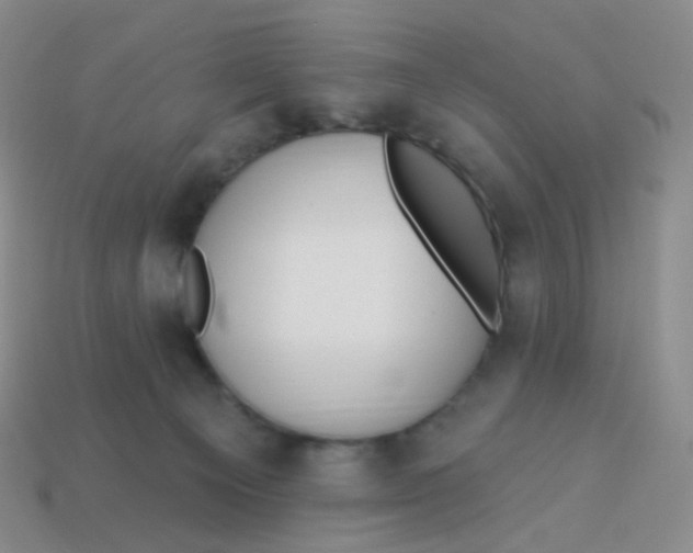 X0000113270129200910081408