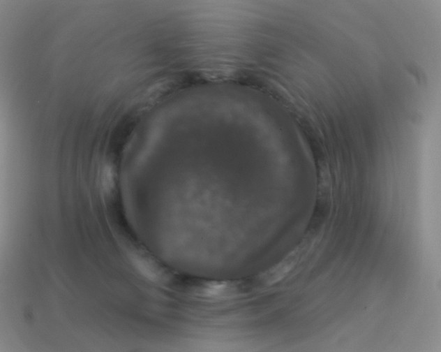 X0000113270130200910081408