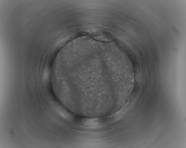 X0000113270132200910081408