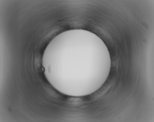 X0000113270133200910081408