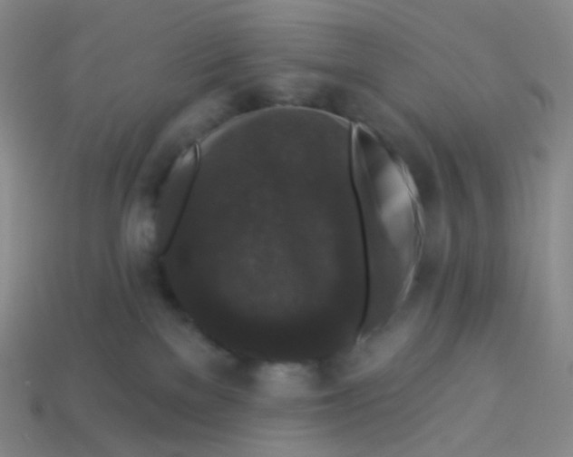 X0000113270137200910081408