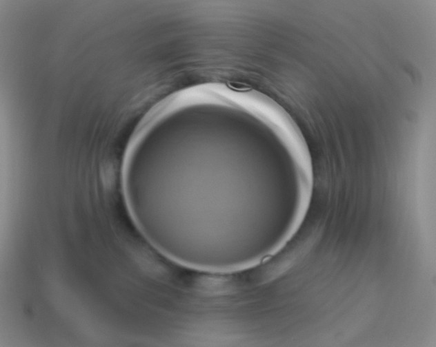 X0000113270139200910081408