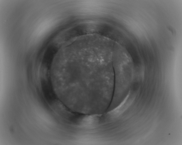 X0000113270140200910081408