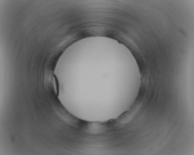 X0000113270141200910081408