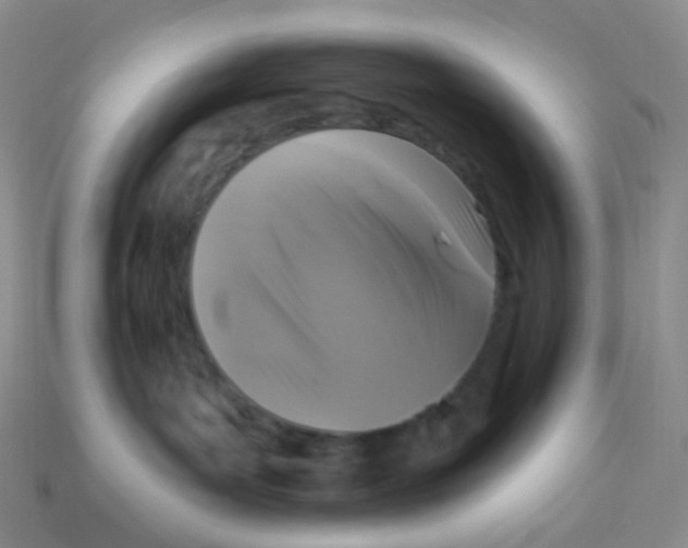 X0000113270143200910081408