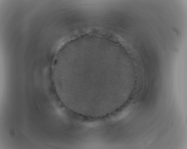 X0000113270144200910081408