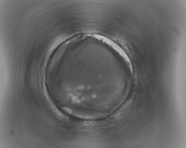 X0000113270145200910081408