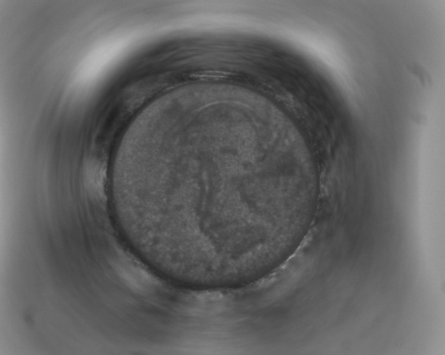 X0000113270146200910081408