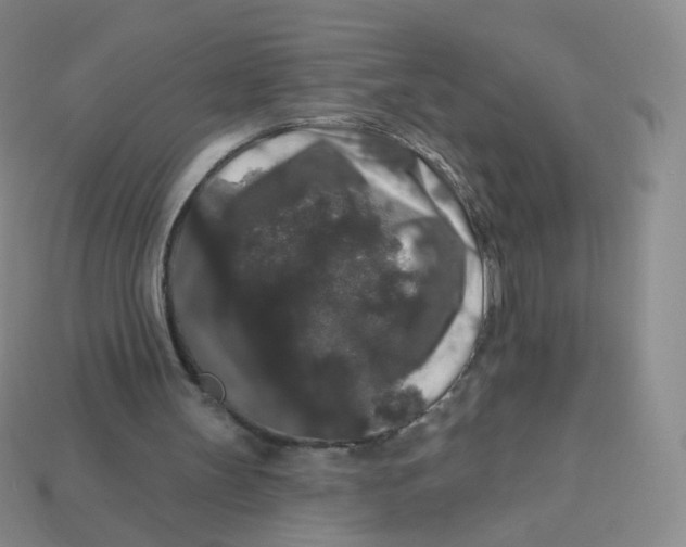 X0000113270147200910081408