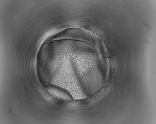 X0000113270148200910081408