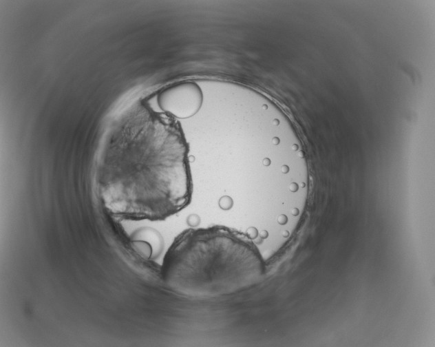 X0000113270149200910081408